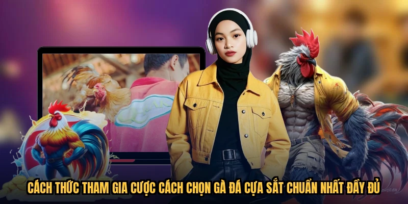 Cách thức tham gia cược cách chọn gà đá cựa sắt chuẩn nhất đầy đủ