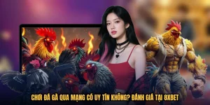Chơi Đá Gà Qua Mạng Có Uy Tín Không? Đánh Giá Tại 8XBET