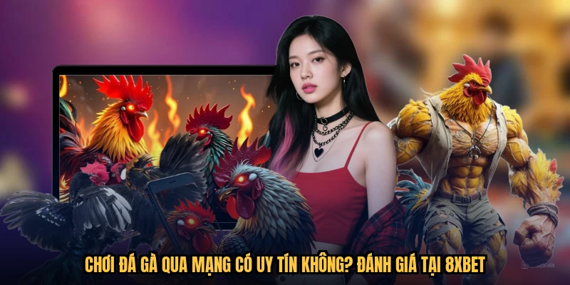 Chơi Đá Gà Qua Mạng Có Uy Tín Không? Đánh Giá Tại 8XBET