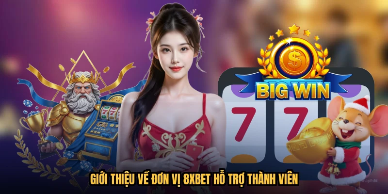 Giới thiệu về đơn vị 8XBET hỗ trợ thành viên