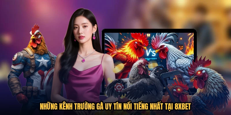 Những kênh trường gà uy tín nổi tiếng nhất tại 8XBET
