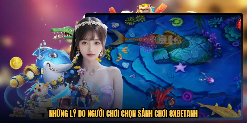 Những lý do người chơi chọn sảnh chơi 8XBETanh