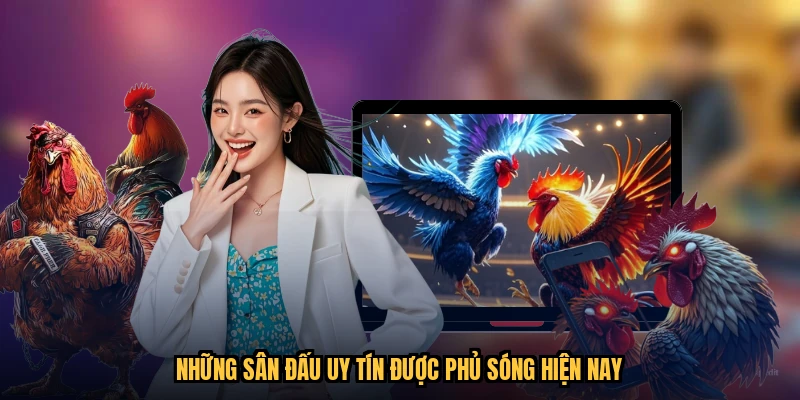 Những sân đấu uy tín được phủ sóng hiện nay