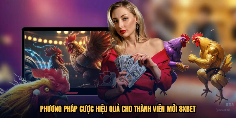 Phương pháp cược hiệu quả cho thành viên mới 8XBET