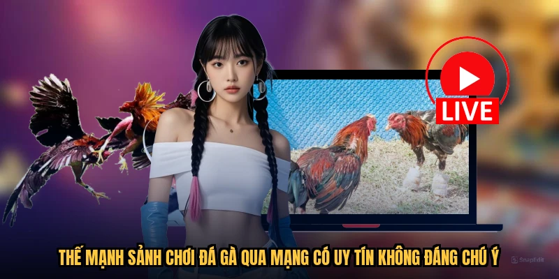 Thế mạnh sảnh chơi đá gà qua mạng có uy tín không đáng chú ý